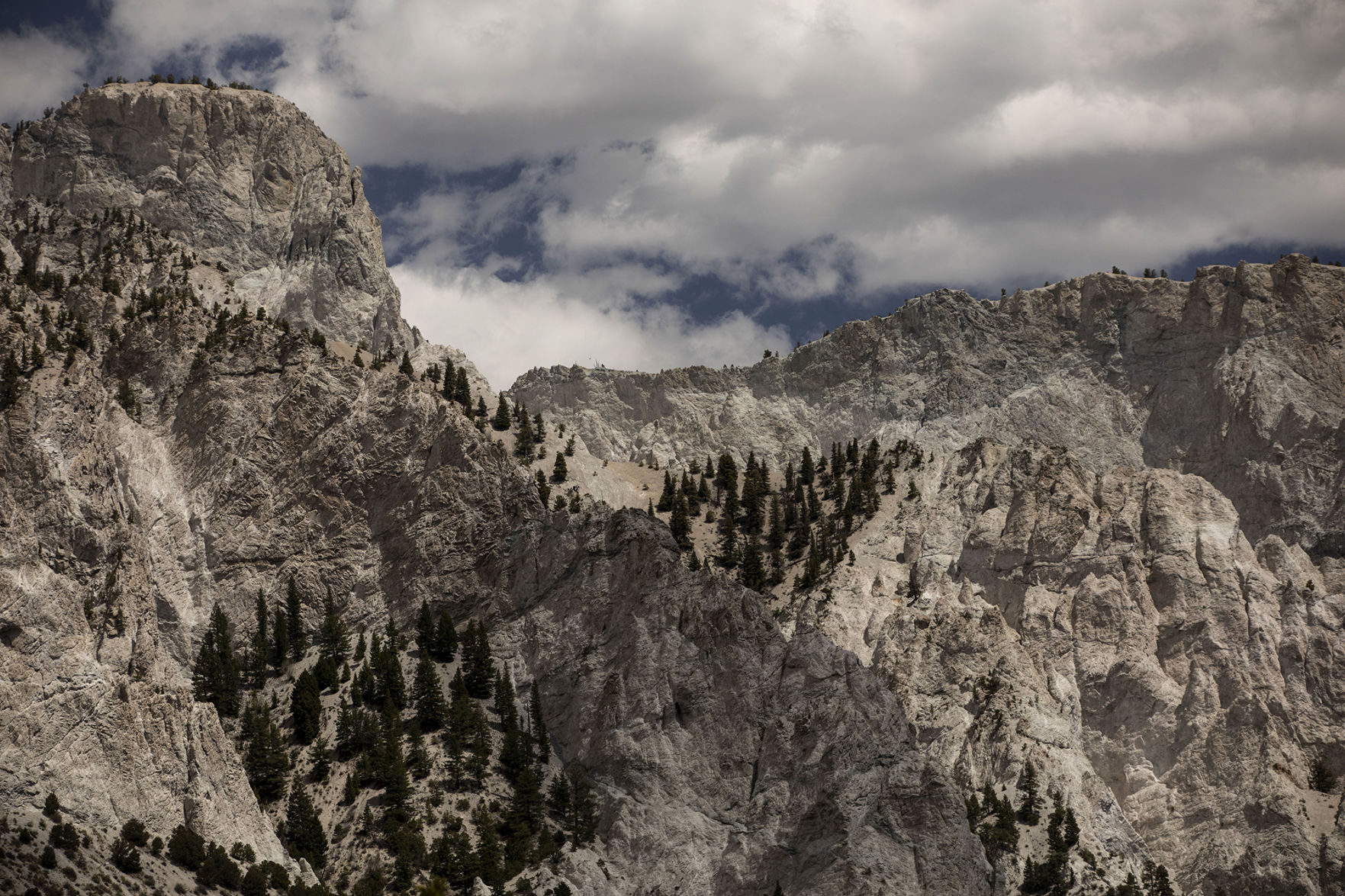 chalkcliffs 01.jpg